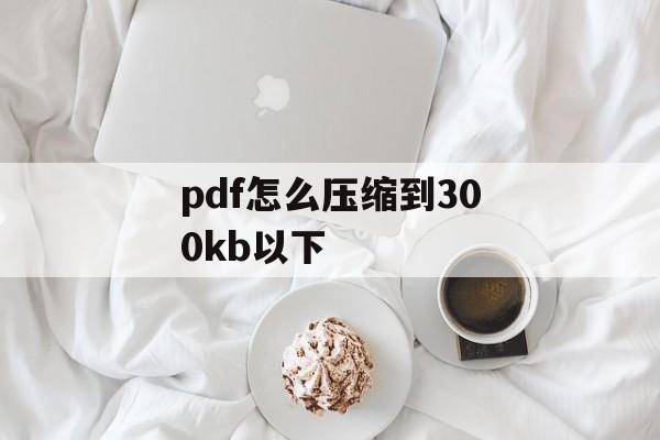 pdf怎么压缩到300kb以下